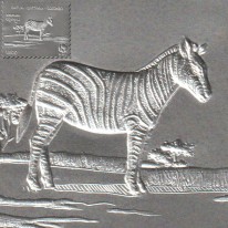 Zebra WWF