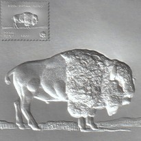 Bizon WWF