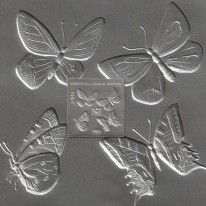 Motyle PHILAKOREA