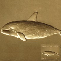 Orka