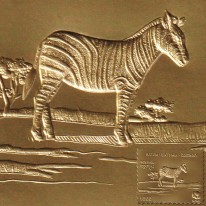 Zebra WWF