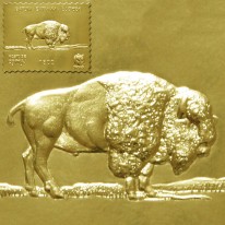 Bizon WWF