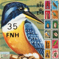 Fauna Flora Sztuka Ptaki...