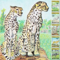 Osioł Gepard Antylopa Bawół