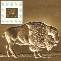 Bizon WWF