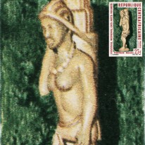 Tragarz Afrykański