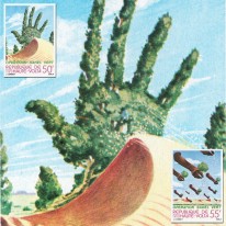 Pustynia Sahel Sadzenie Drzew