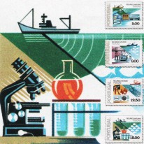 Rybołówstwo Port Trawler