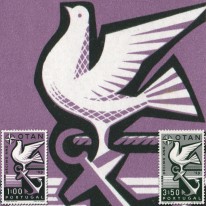 NATO Gołąbek Kotwica
