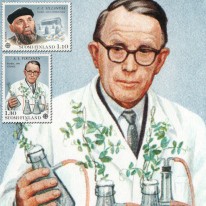 Nobliści Pisarz Chemik EUROPA