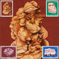 Minerały Marmur Ametyst Agat