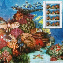 Rafa Koralowa Oceanografia