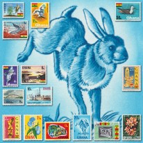 Ptaki Kwiaty Ryby Fauna...