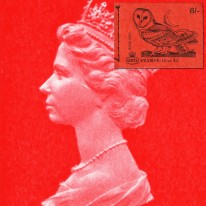 Królowa Elżbieta II Sowa QP46
