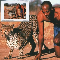 Gepard i Sprinter Frank...