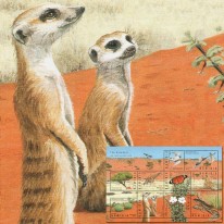 Fauna i Flora Pustyni Kalahari