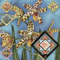 Kwiaty Orchidee
