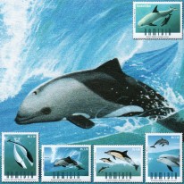 Delfiny