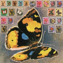 Antylopy Kwiaty Motyle