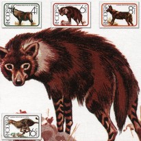 Gepard Hiena Likaon