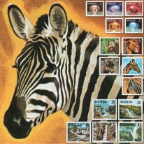 Minerały Fauna Wodospady