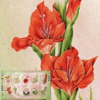Kwiaty Frezja Gerbera...