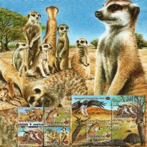 Gepard Surykatka Tkacz Oryks
