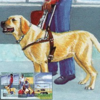 Psy Spaniel Labrador Collie