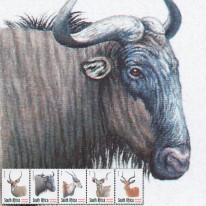 Antylopy Eland Gnu Kudu...