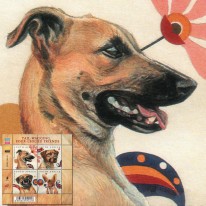 Psy Basenji Boerboel Chart