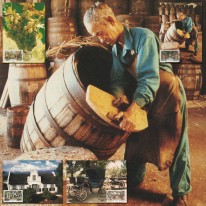Winorośl Winiarnia Paarl