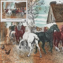 Konie HAFNIA’76