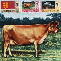 Krowa Zamek Herb