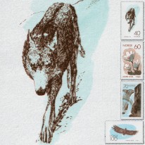 Wilk Bielik Sasanka