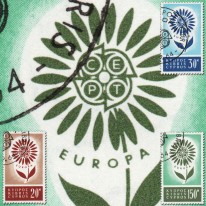 Kwiat Unii EUROPA