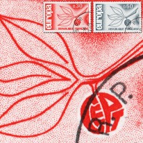 Kwitnąca Gałązka EUROPA