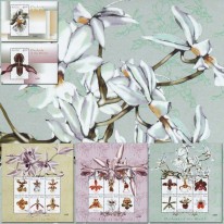 Kwiaty Orchidee