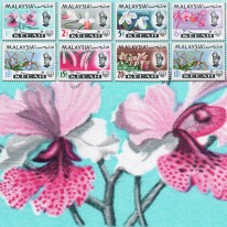 Kwiaty Orchidee