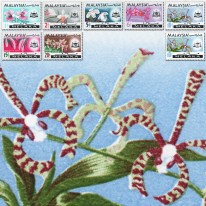 Kwiaty Orchidee