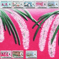 Kwiaty Orchidee