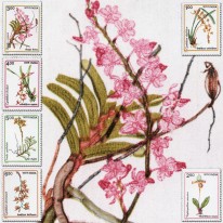 Kwiaty Orchidee