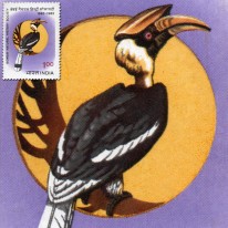 Ptak Dzioborożec