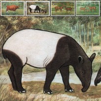 Tapir Banteng Sambar Aksis