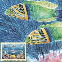 Ryby Żółw Manta Delfin