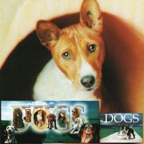 Psy Terier Basenji Mastif...