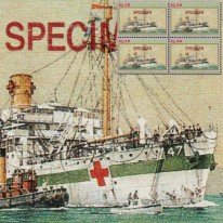 Okręt Szpital Wzór