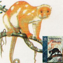 Kuskusy