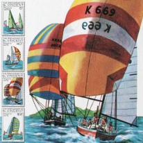 Regaty Żeglarskie