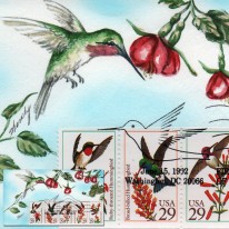 Kolibry Ręcznie Malowana Ham