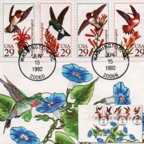 Kolibry Ręcznie Malowana